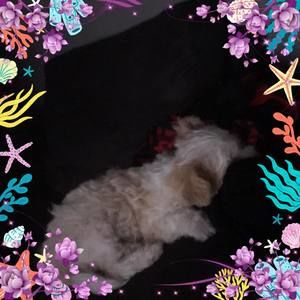 Meet your Posher, Lorena